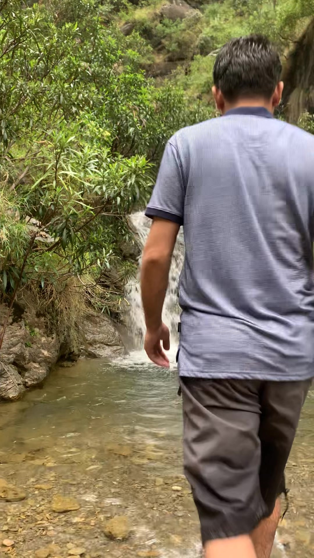 @🌲 sange_marjan ⛰️