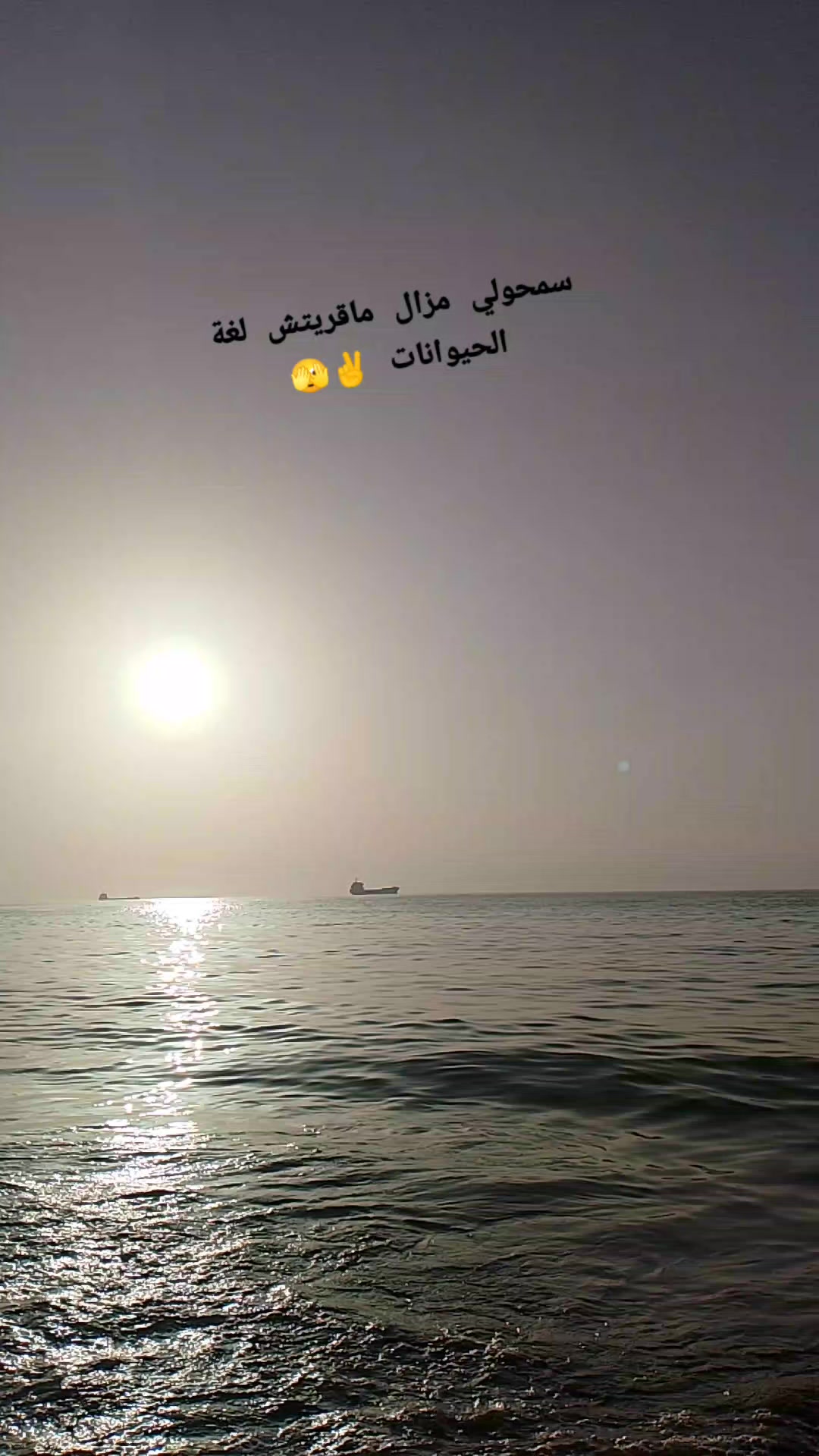 @khadidja khadidja
