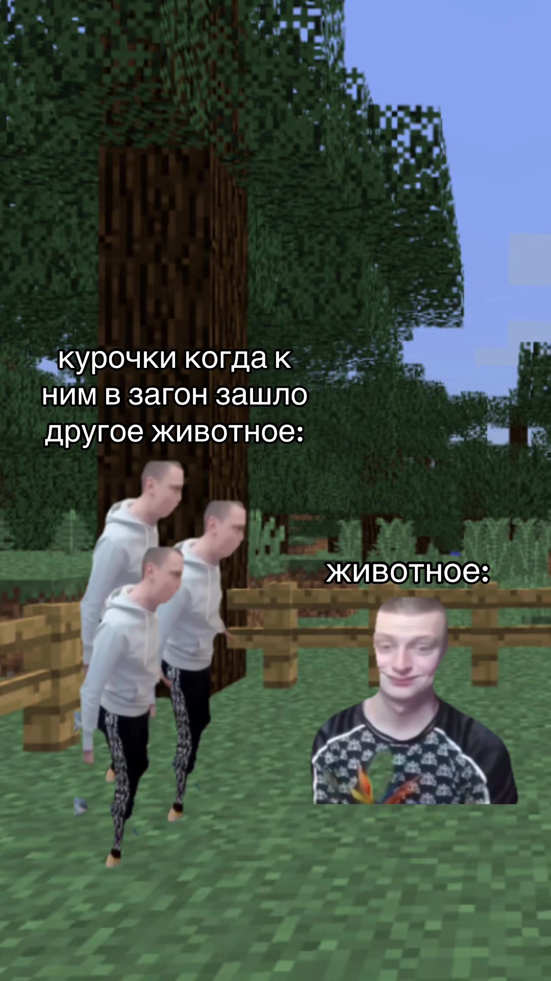 @майнкрафт мемы