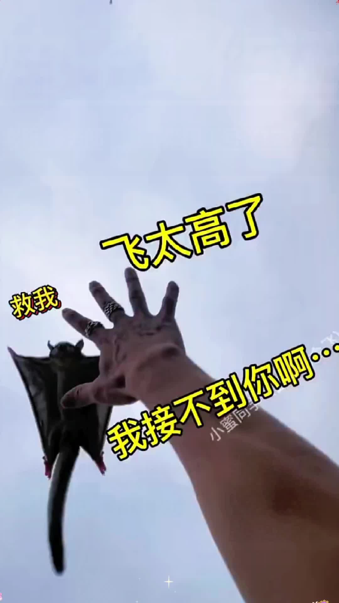 @sturgfzrp8k