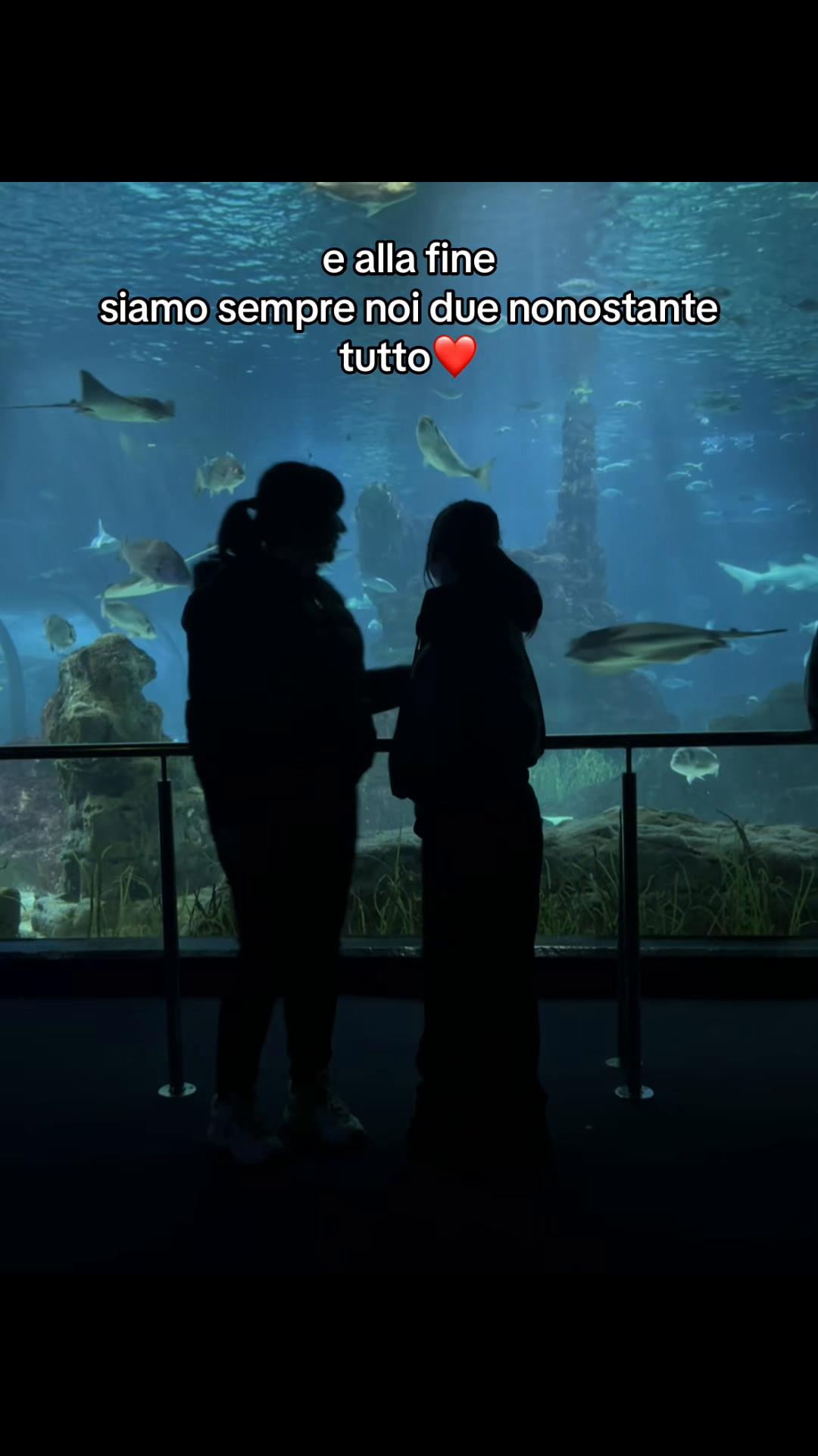 @𝙻𝚒𝚟𝚢シ︎