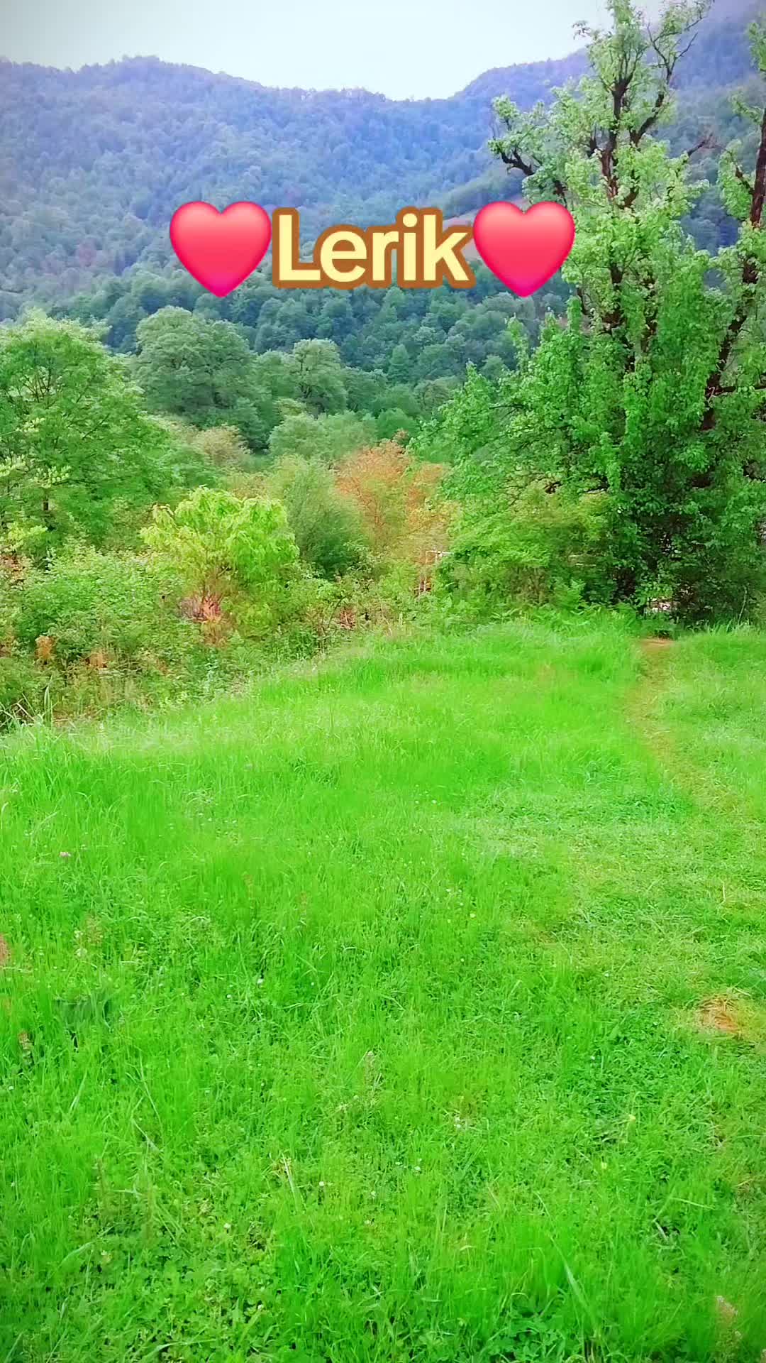 @Lerik_şəlaləyə_Taksi