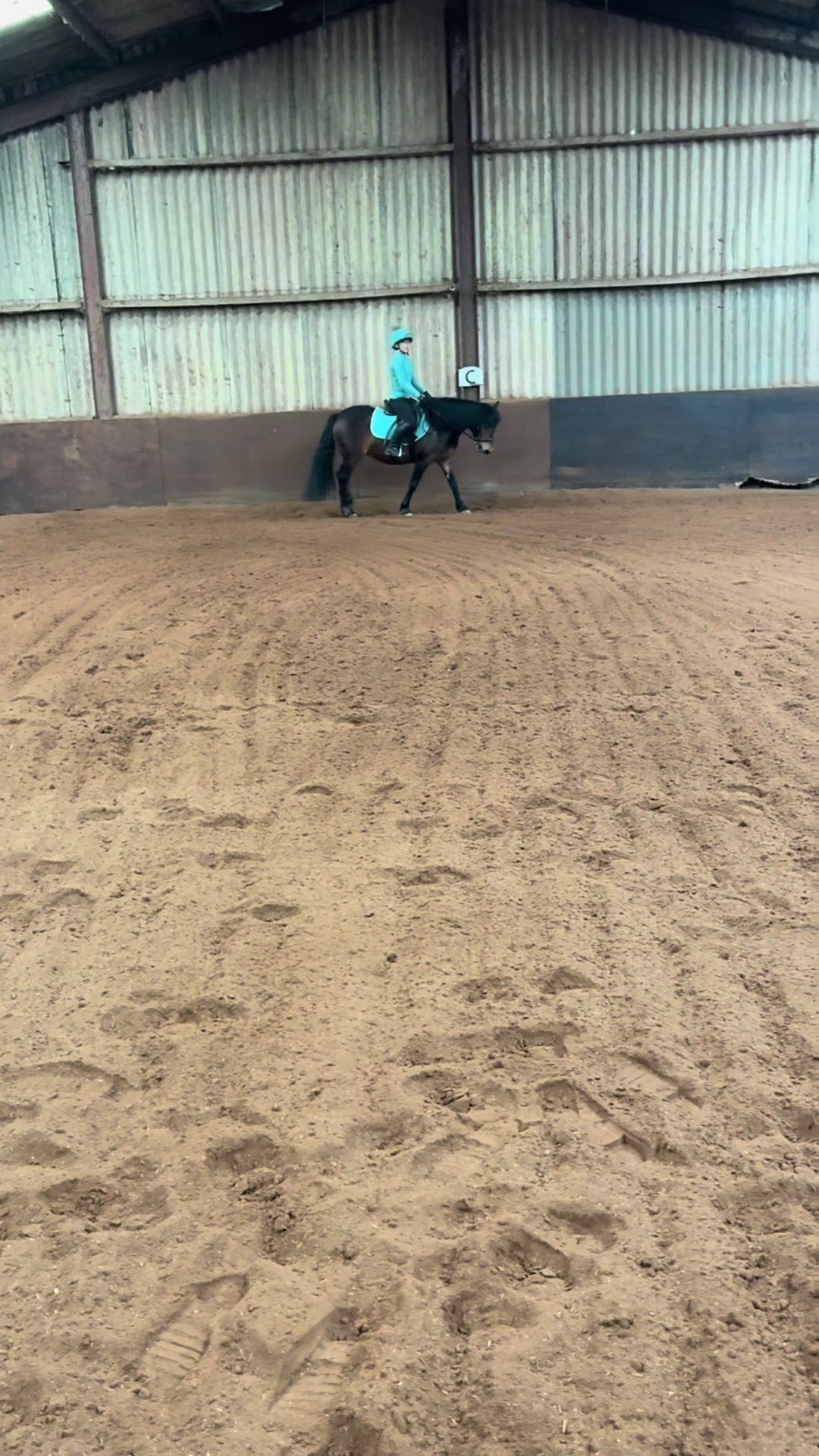 @Freya_horses