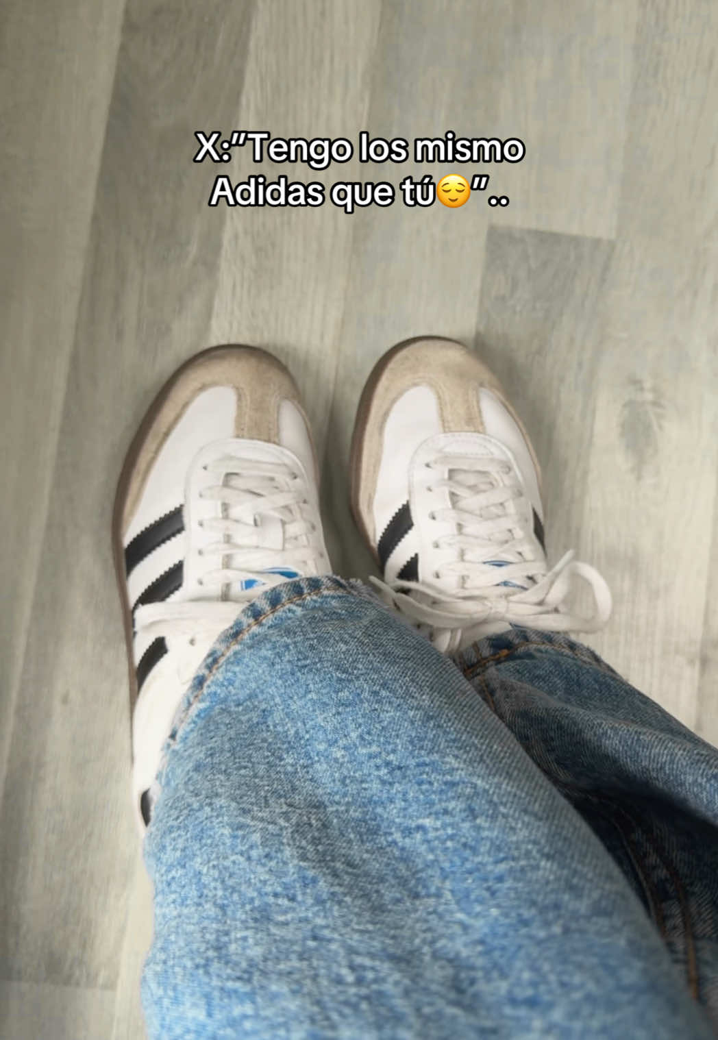 @absolute.mx_