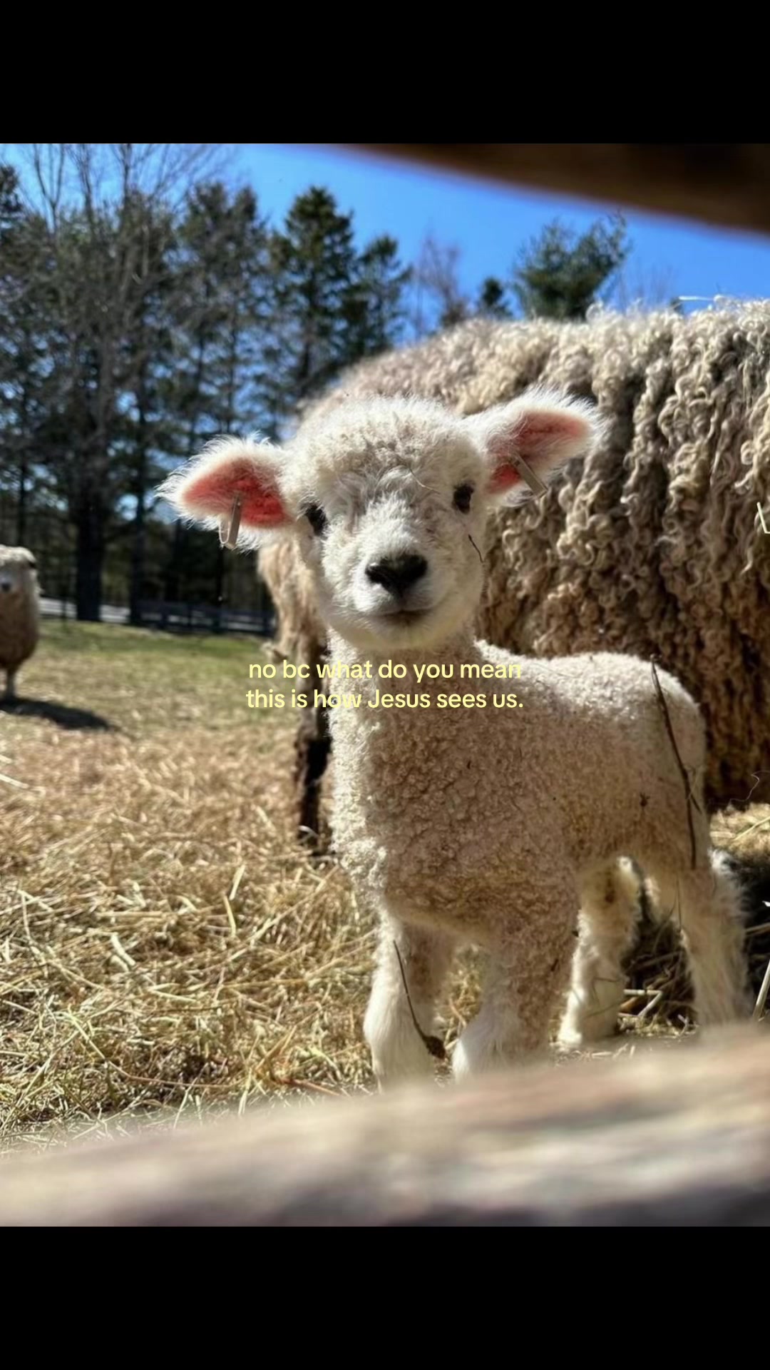 @I_loveJesus