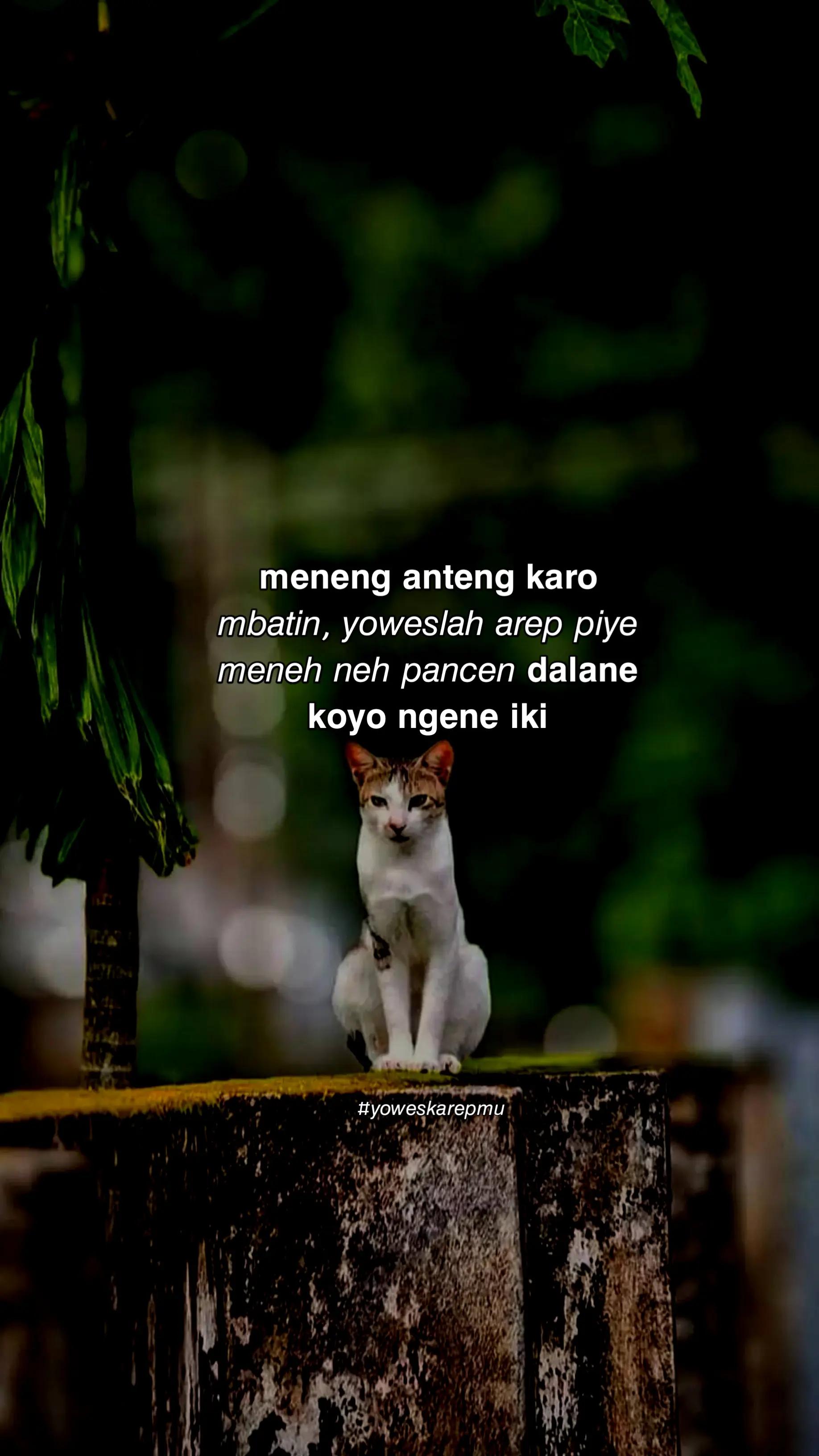 @𝗬𝗼𝘄𝗲𝘀 𝗞𝗮𝗿𝗲𝗽𝗺𝘂