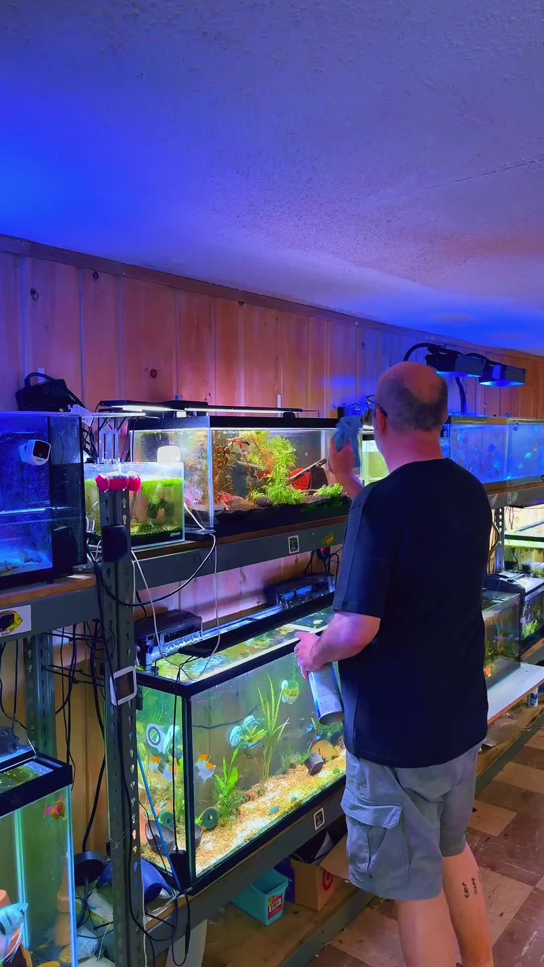 @Dads Fishroom