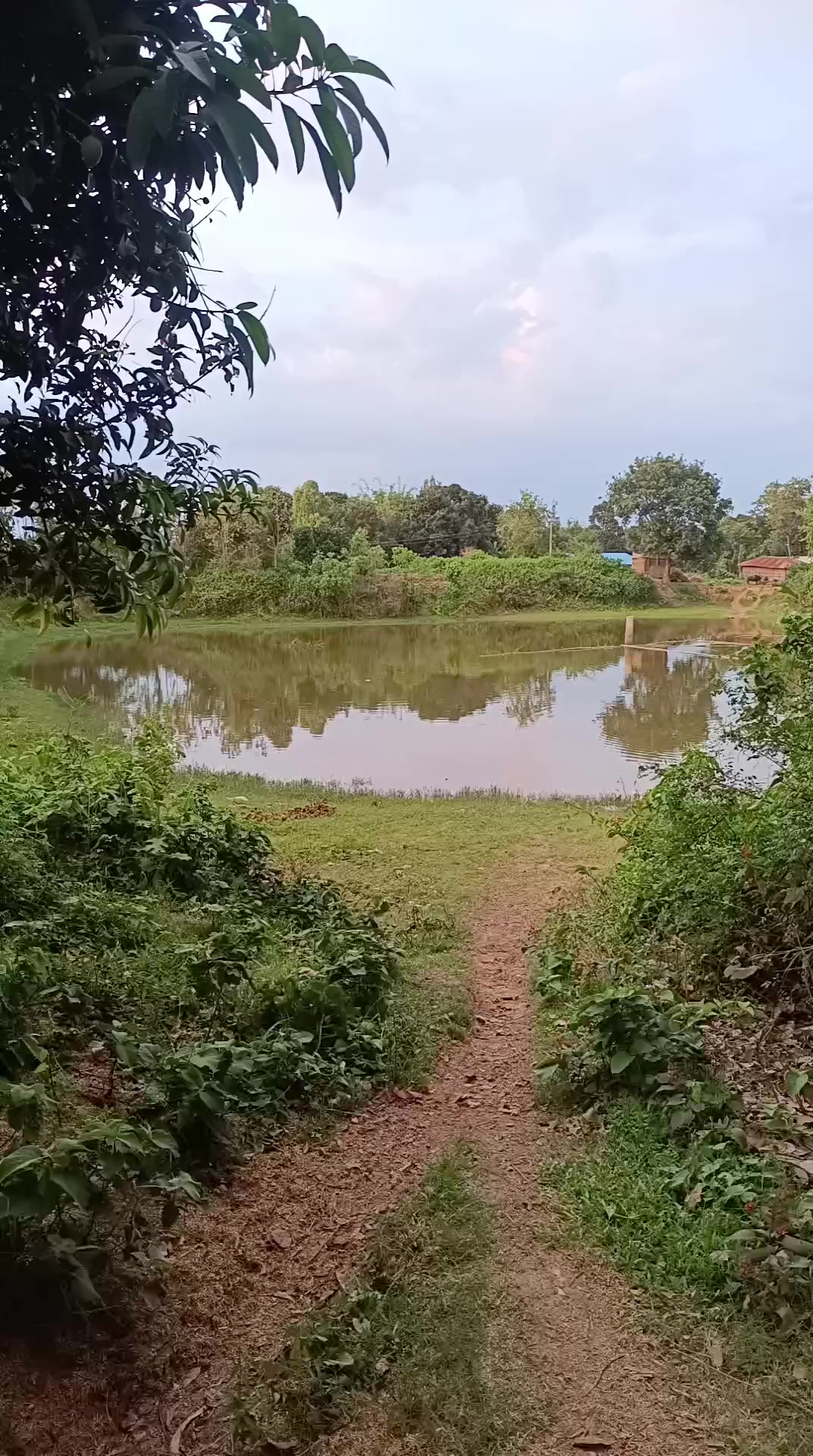 @Ramnath