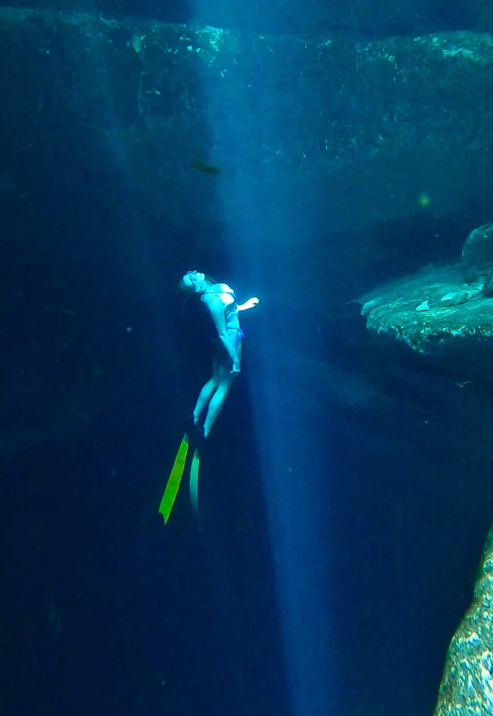 @Coralia Dives 🧜&zwj;♀️