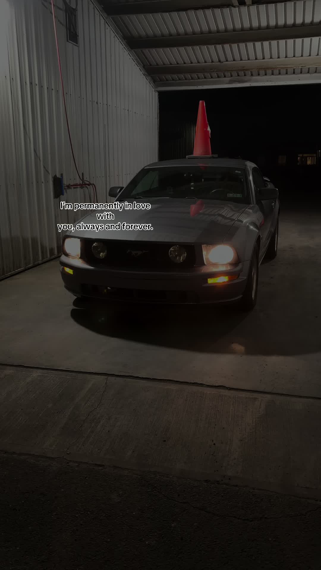 @𖣂𝓉𝓇𝒶𝓅𝒹𝒶𝒹𝒹𝓎.𝒶𝒿𖣂🪶