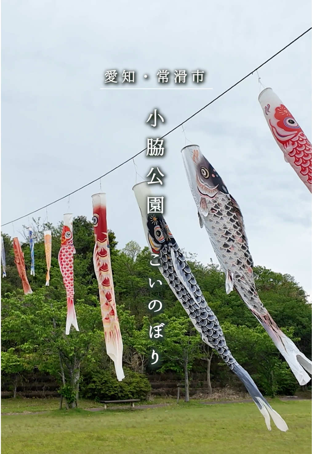 @ちたたび🦘愛知で遊ぶなら知多へ行こう