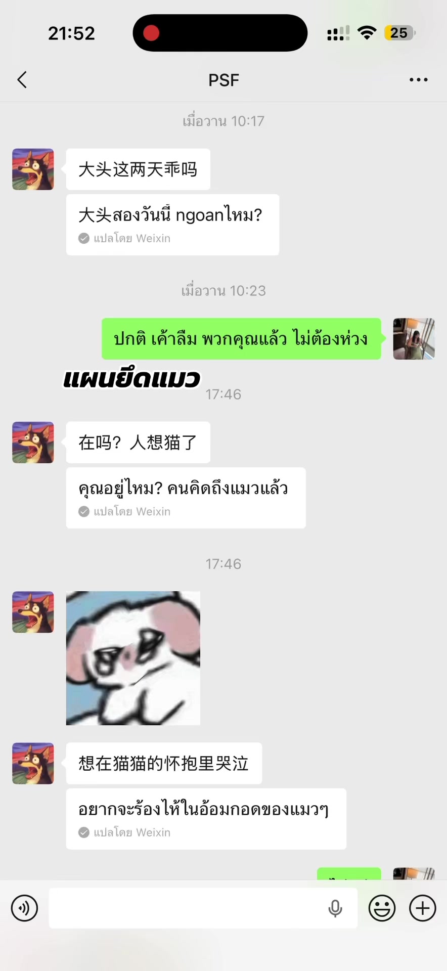 @GRACE แกรม 1964