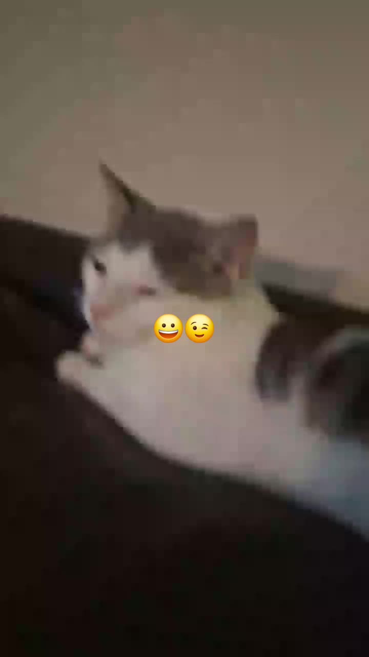 @Starᰔ