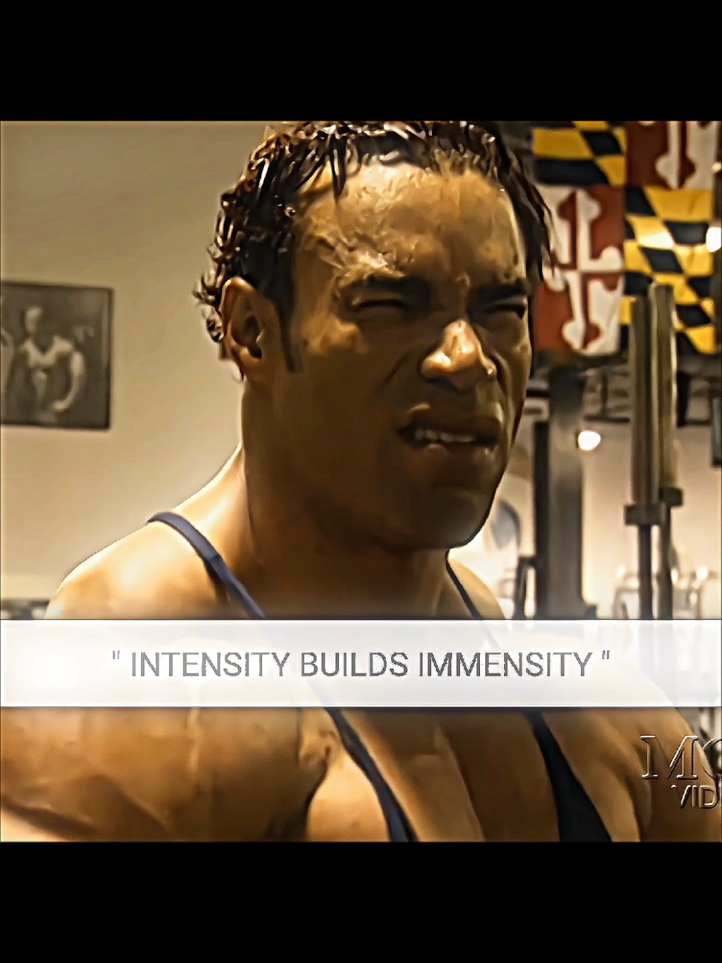 @Gym Zenoz