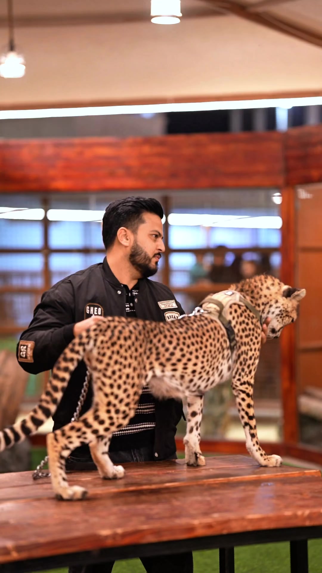 @Nouman hassan 🐅
