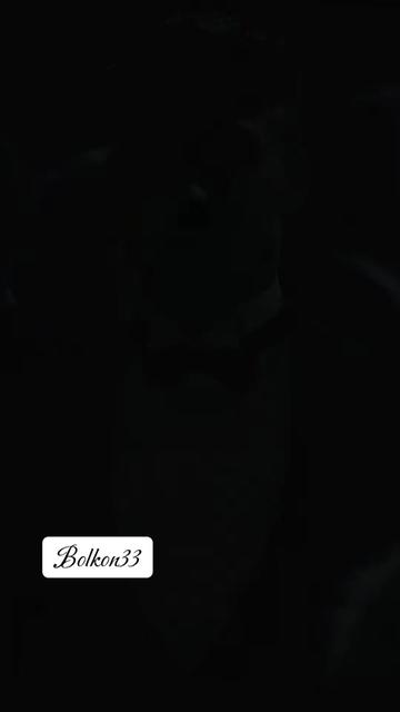 @bolkon33