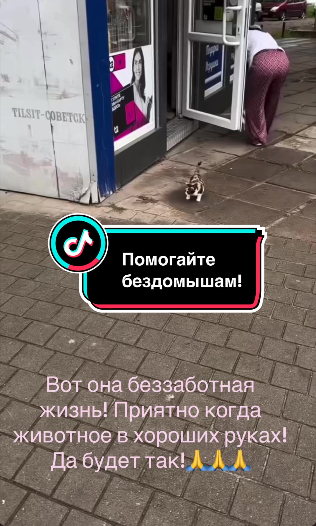@Саня Пагон &clubs;️