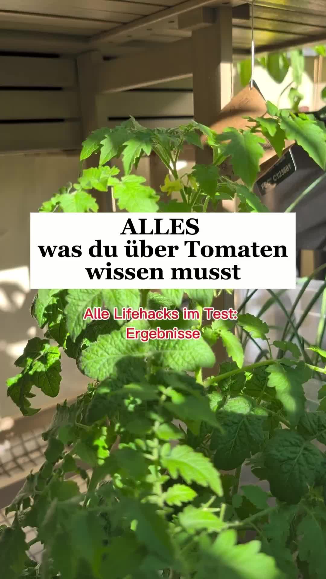 @ErnteExperte