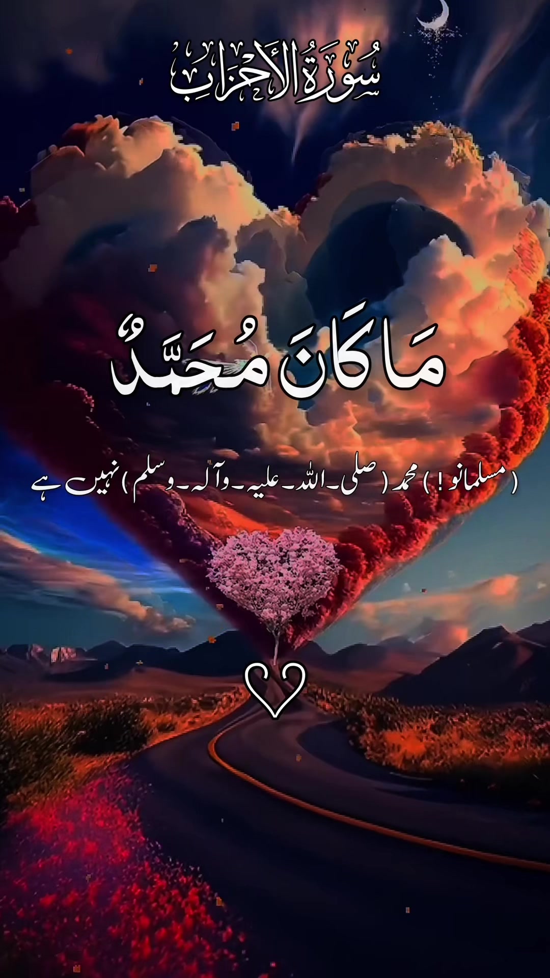 @❣️ Words of Allah ❣️