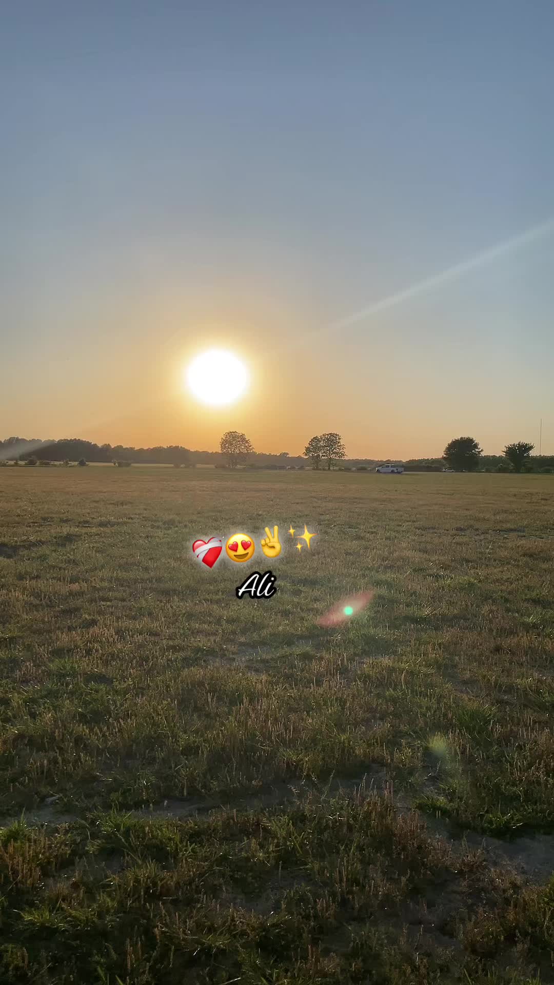 @🦋Morales🐿️