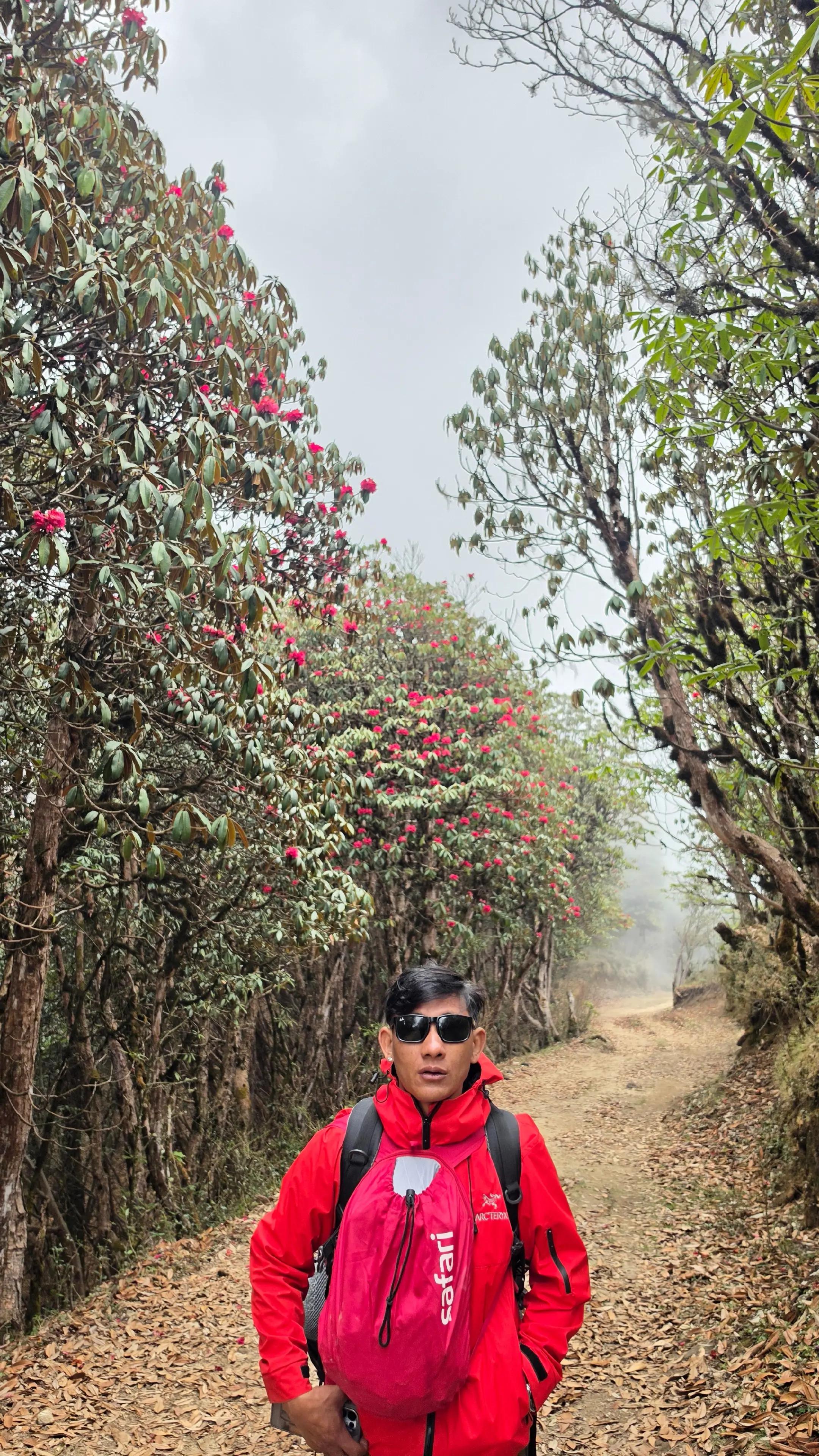 @Alish Chamling Vlog