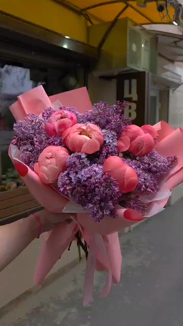 @Dominika