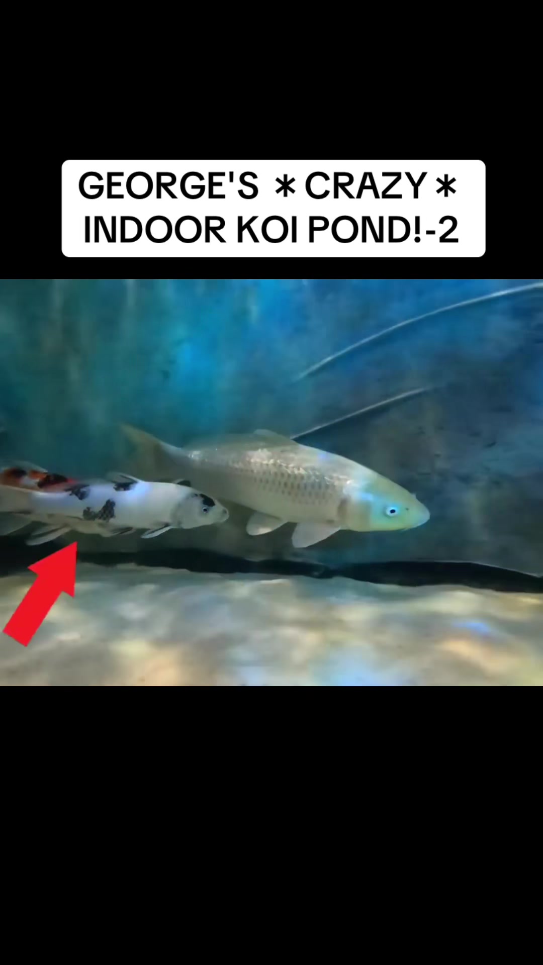 @user2229180201810