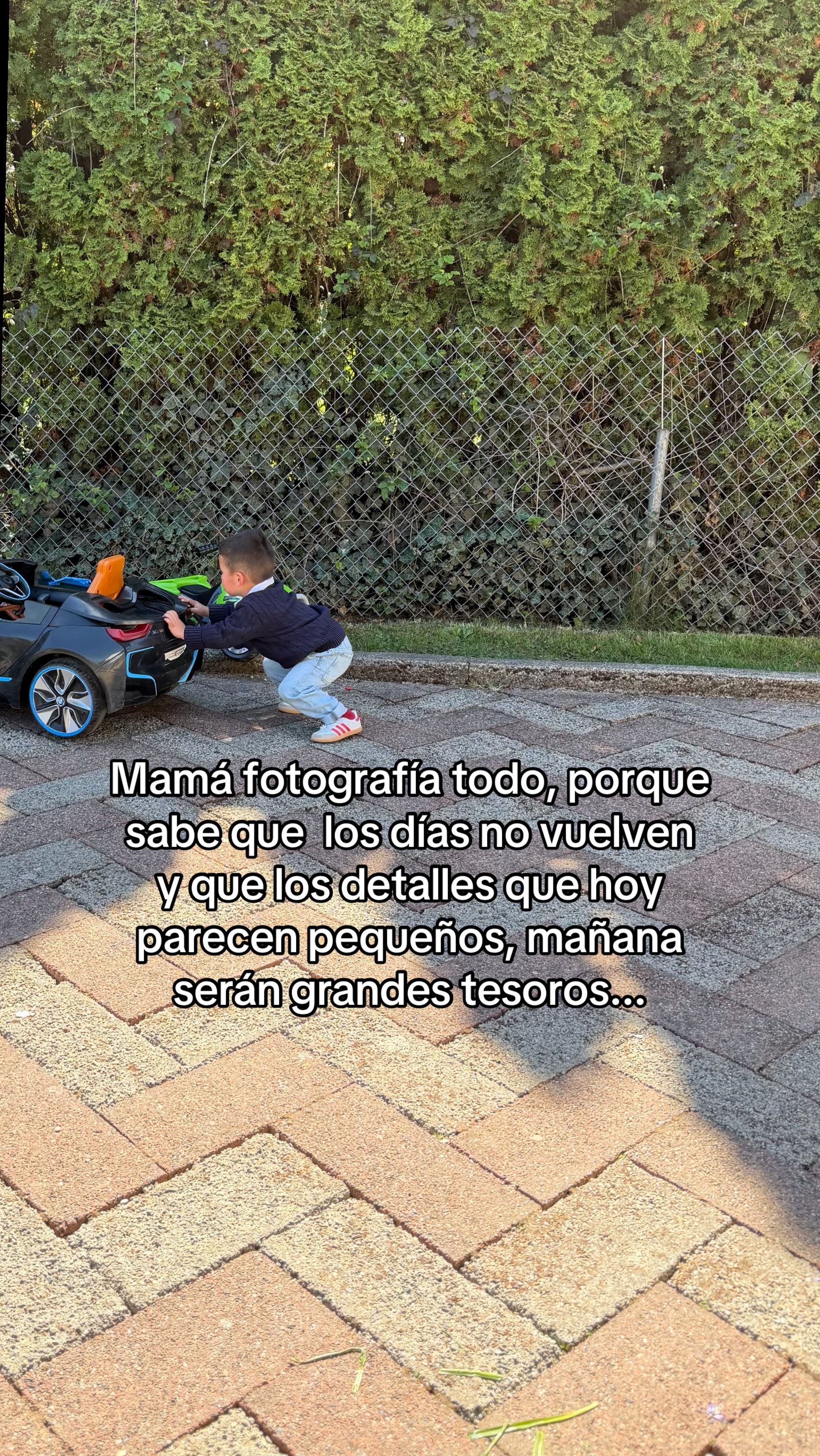 @andreargueta