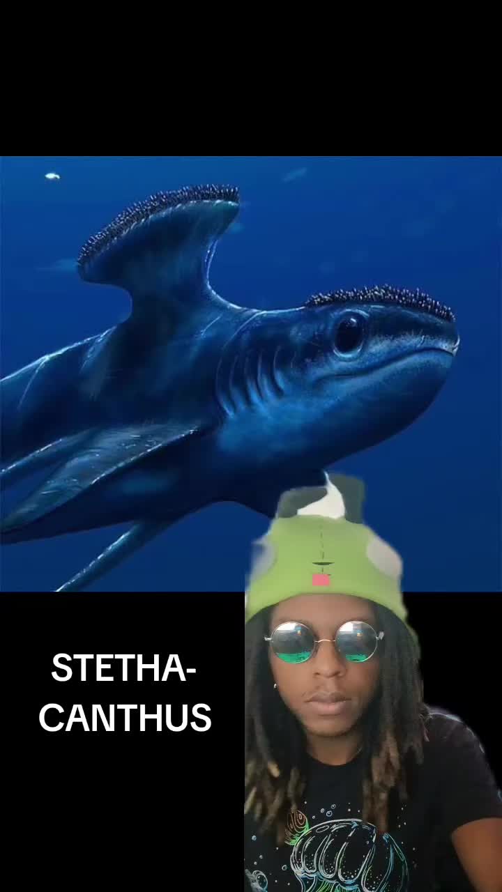 @YourNeighborhoodSchizo