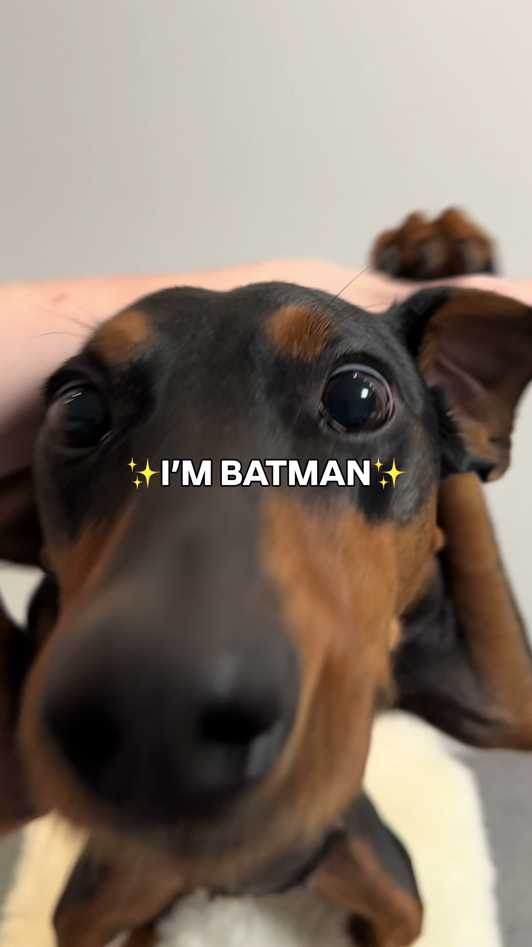 @AlvaTheHotDog