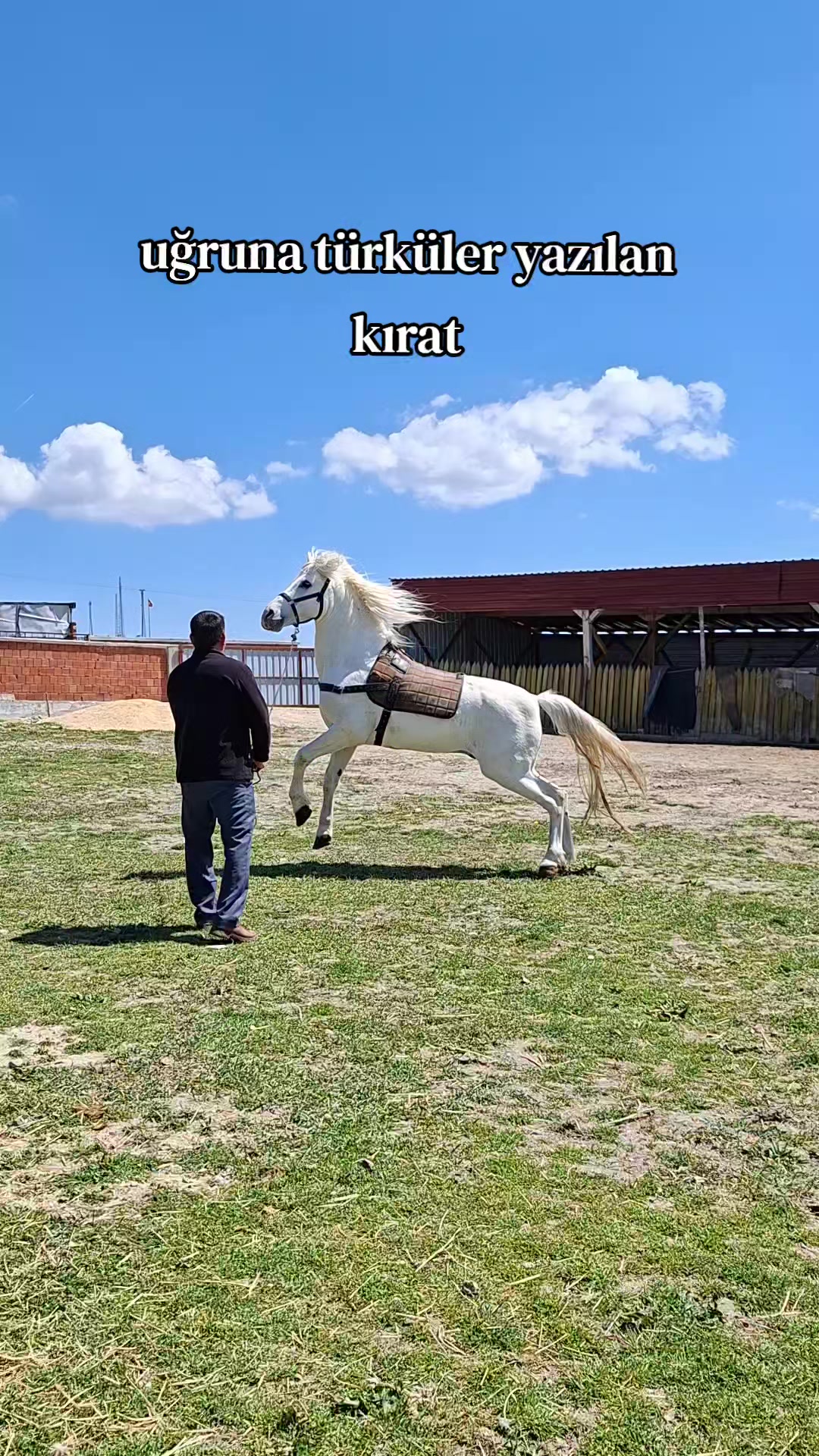 @Yusuf &Uuml;nal