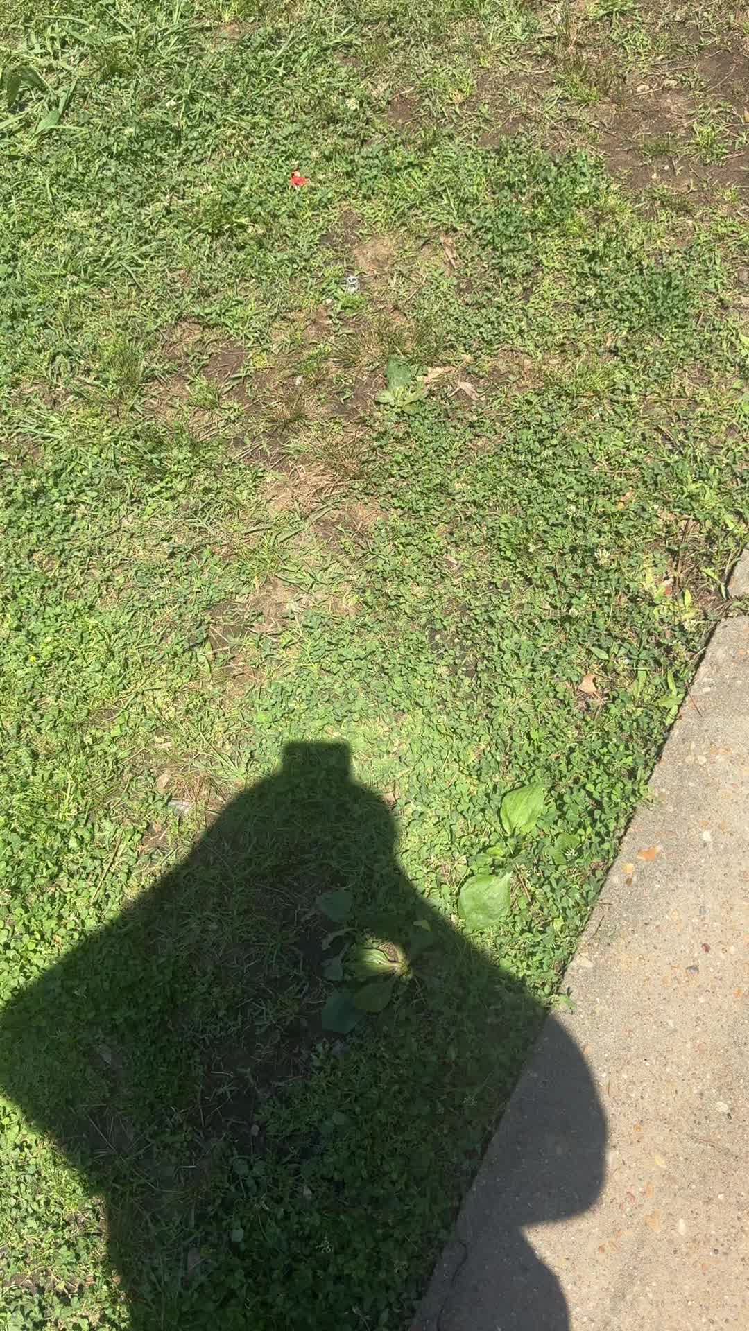 @Austin