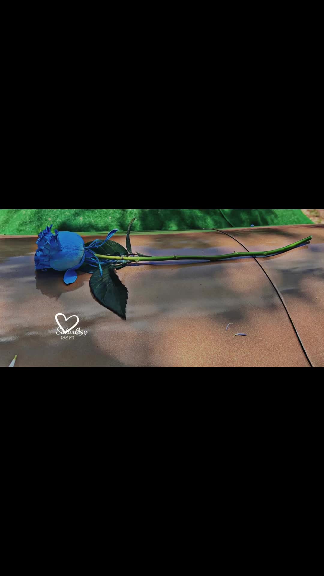 @SiSi6362
