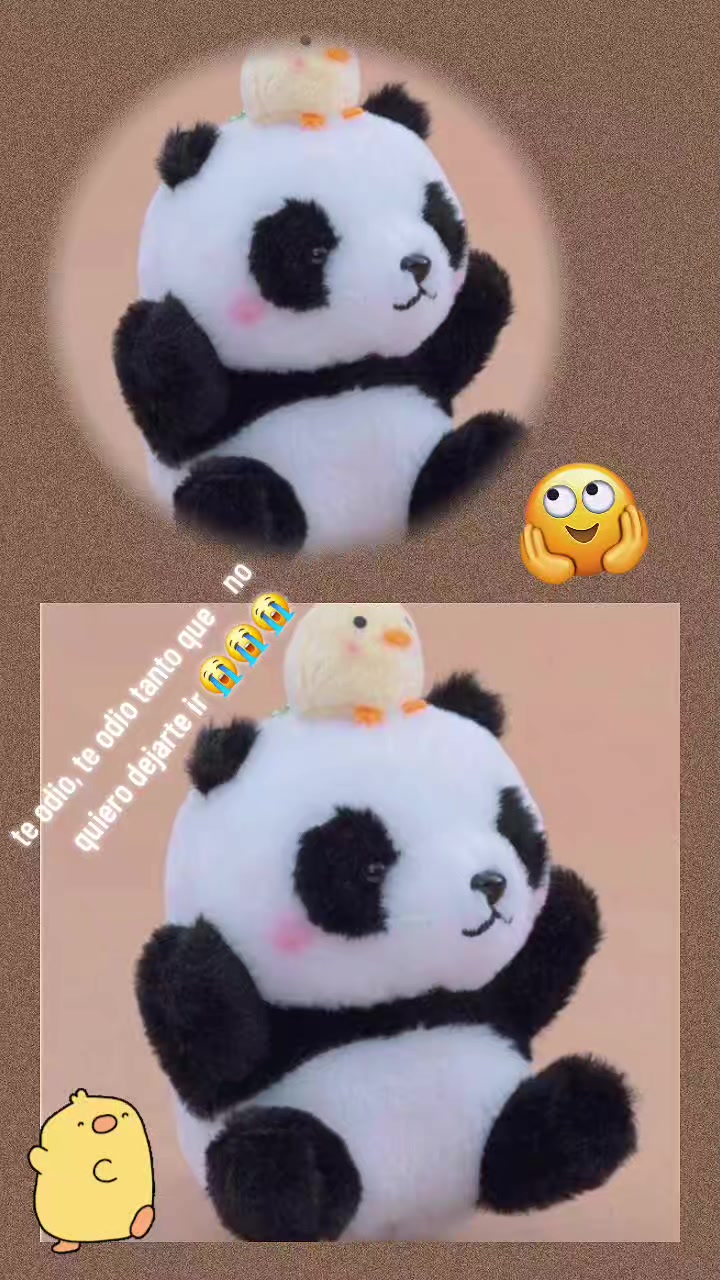 @🐼                          🐺