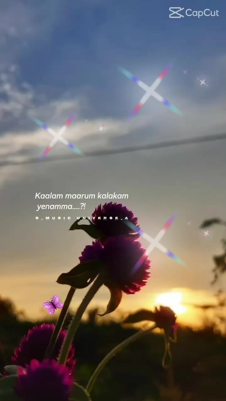 @❤️kavithaamoi❤️
