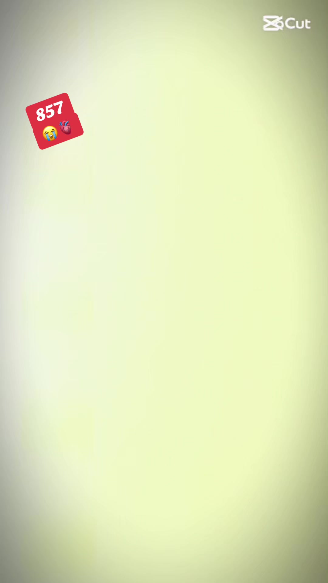 @JANI 857