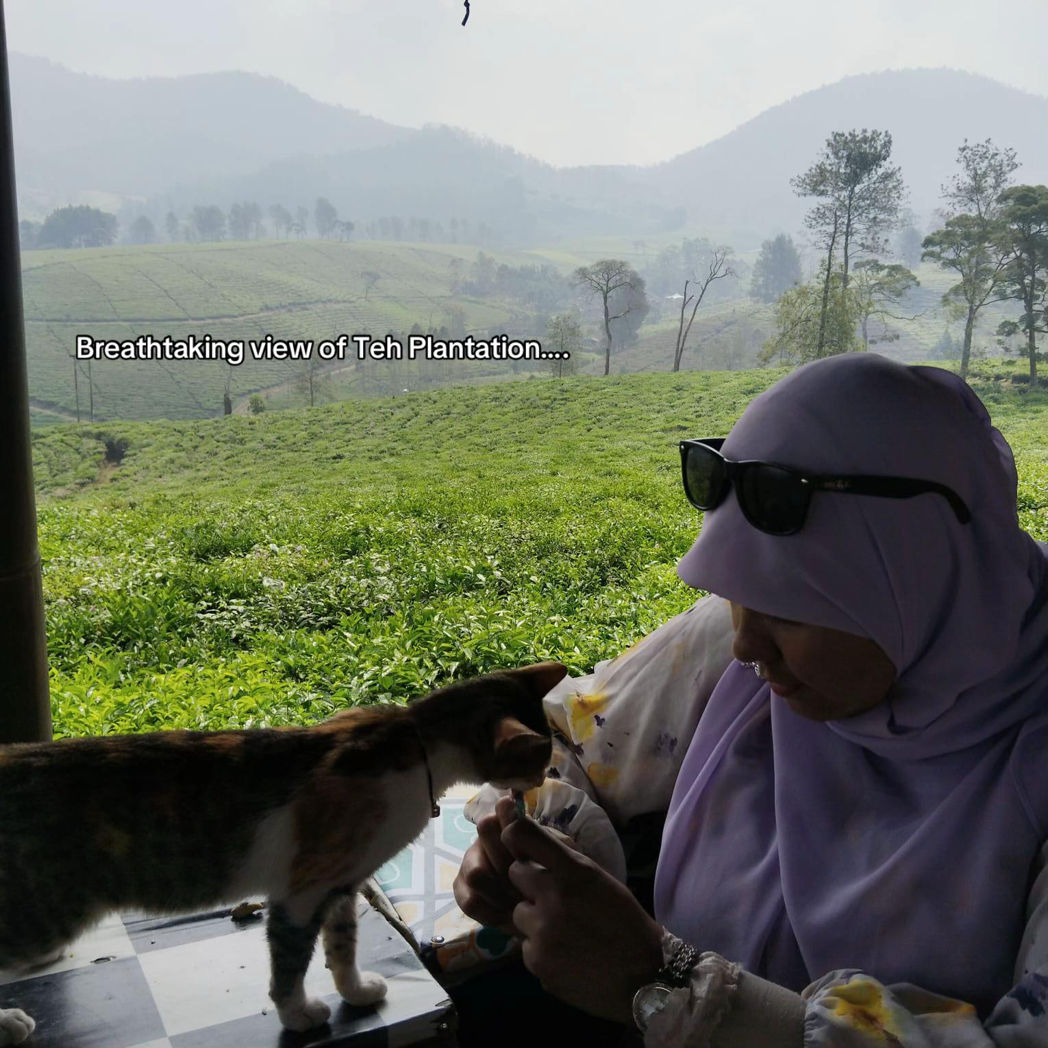 @Siti Nurafiqah