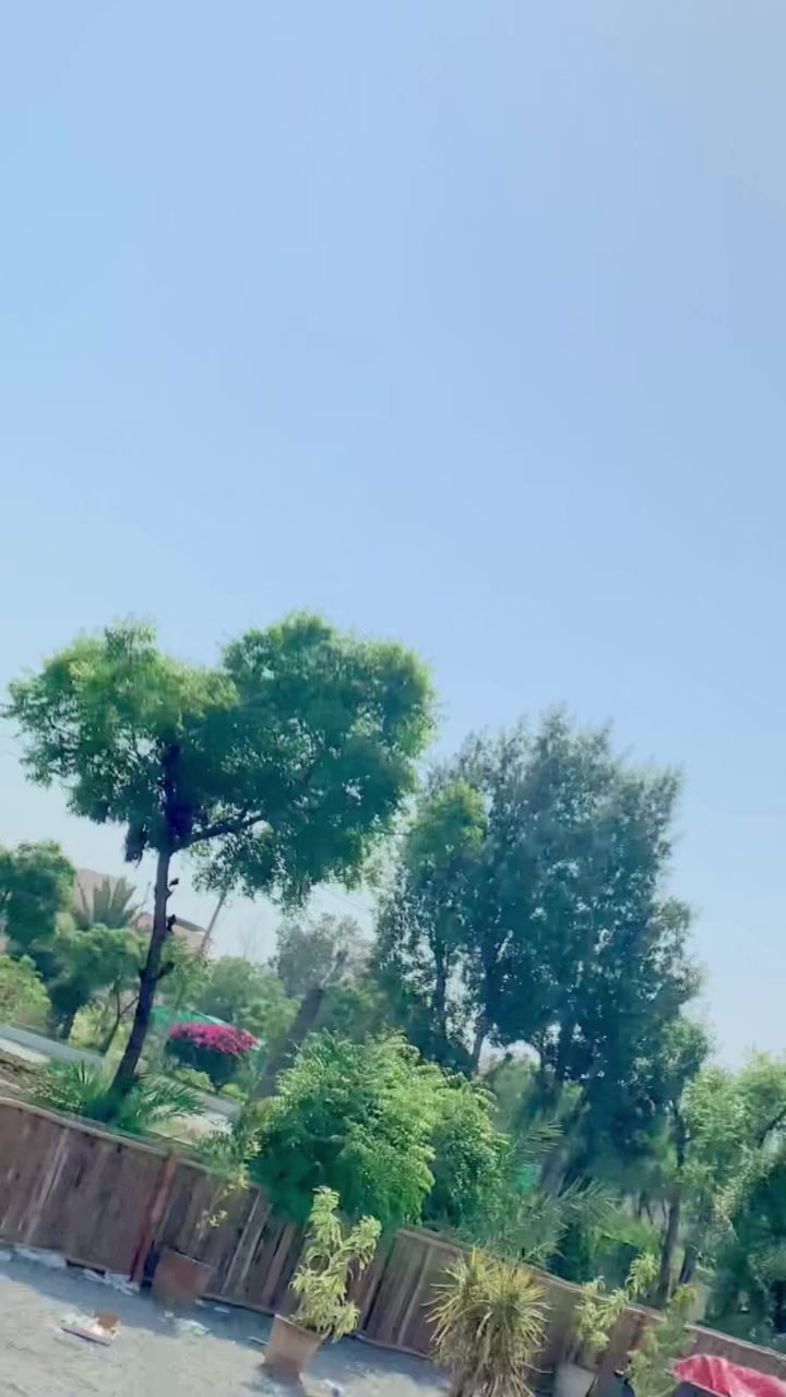 @Sajjad 3k