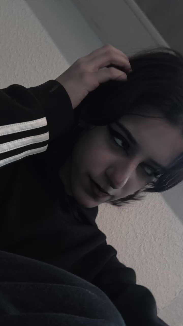 @🦈