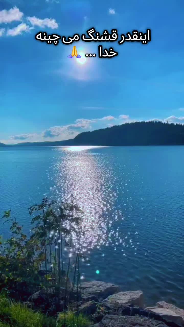 @sirous.shafi