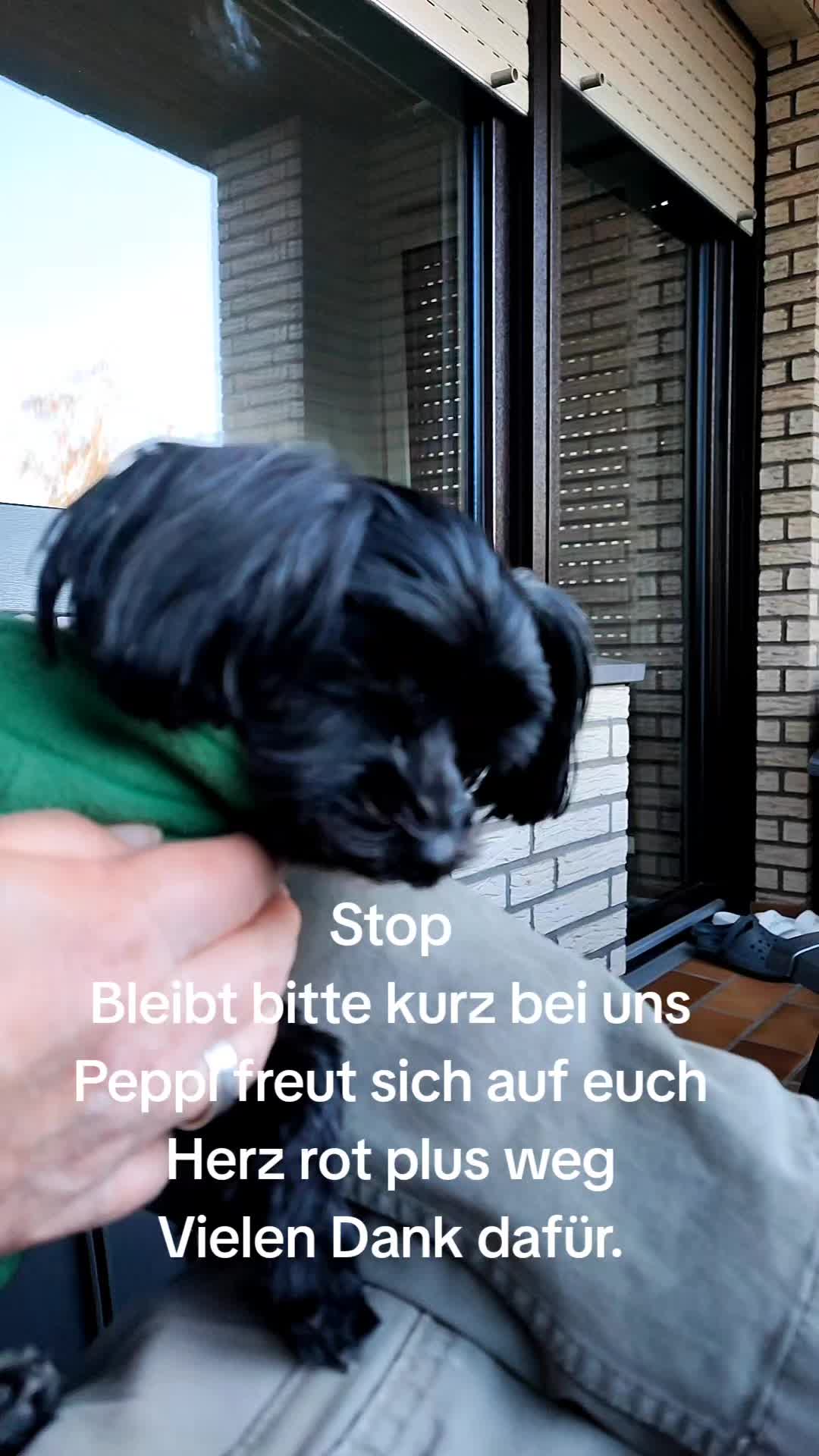 @P&ouml;ppi