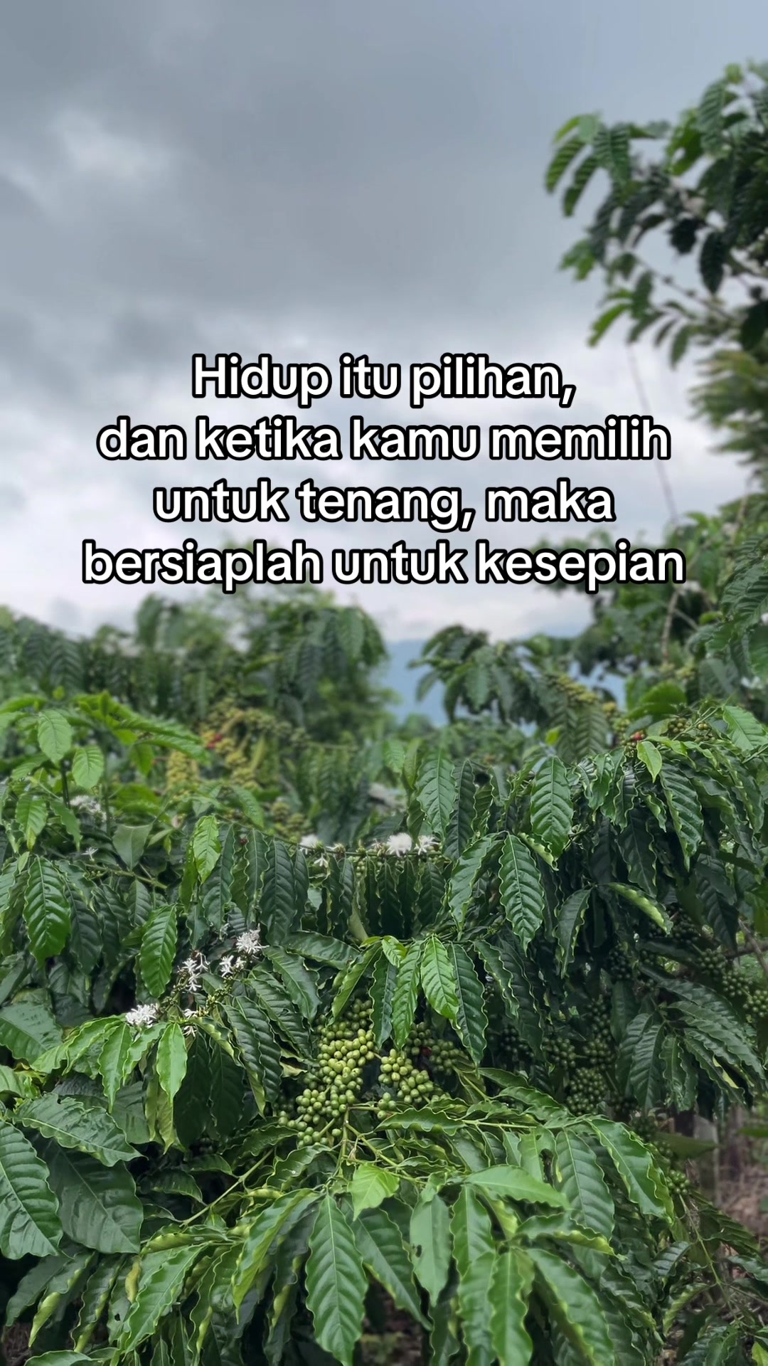 @Prof ☕️ MILENIAL