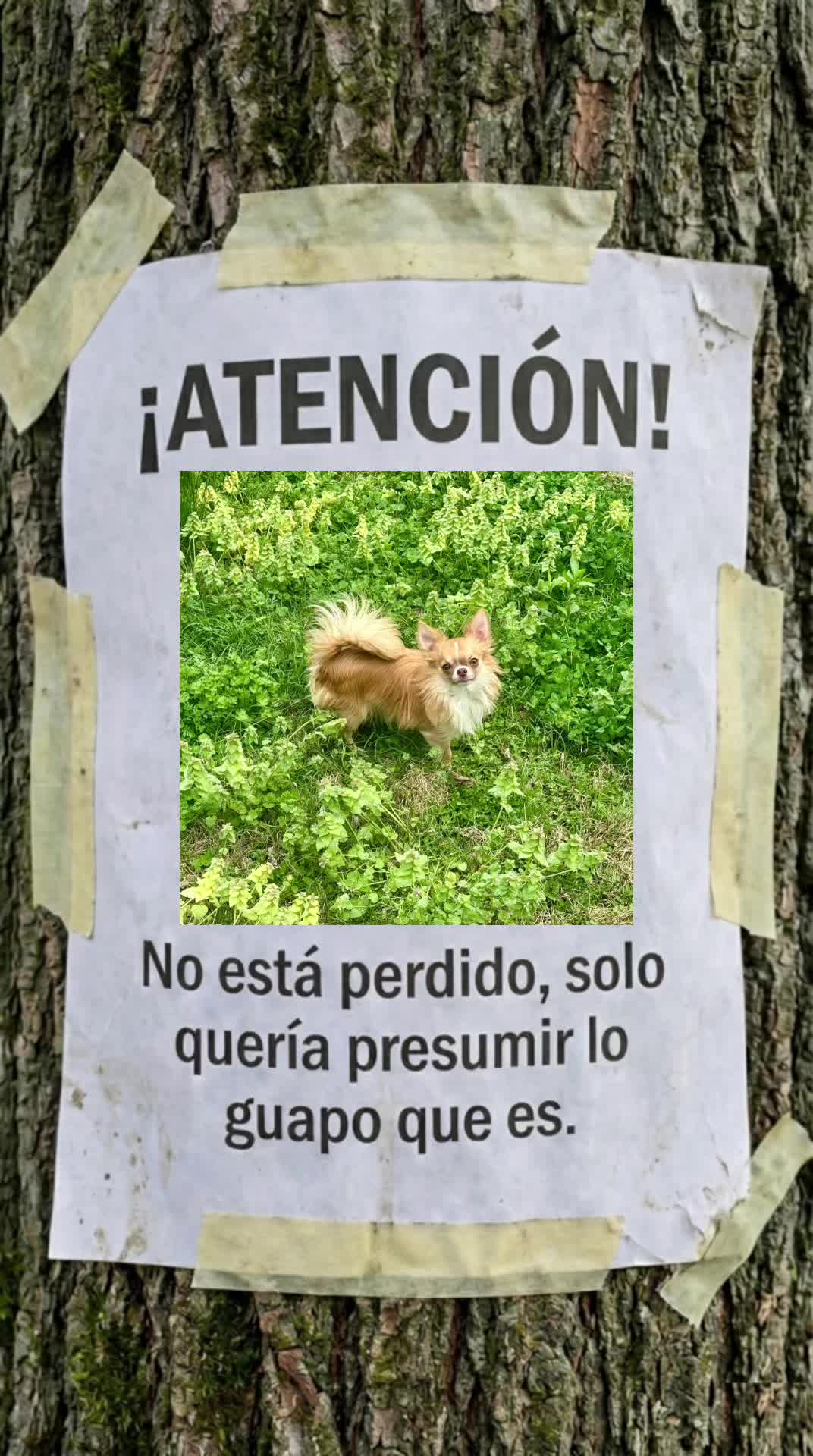 @V Romero Ortega