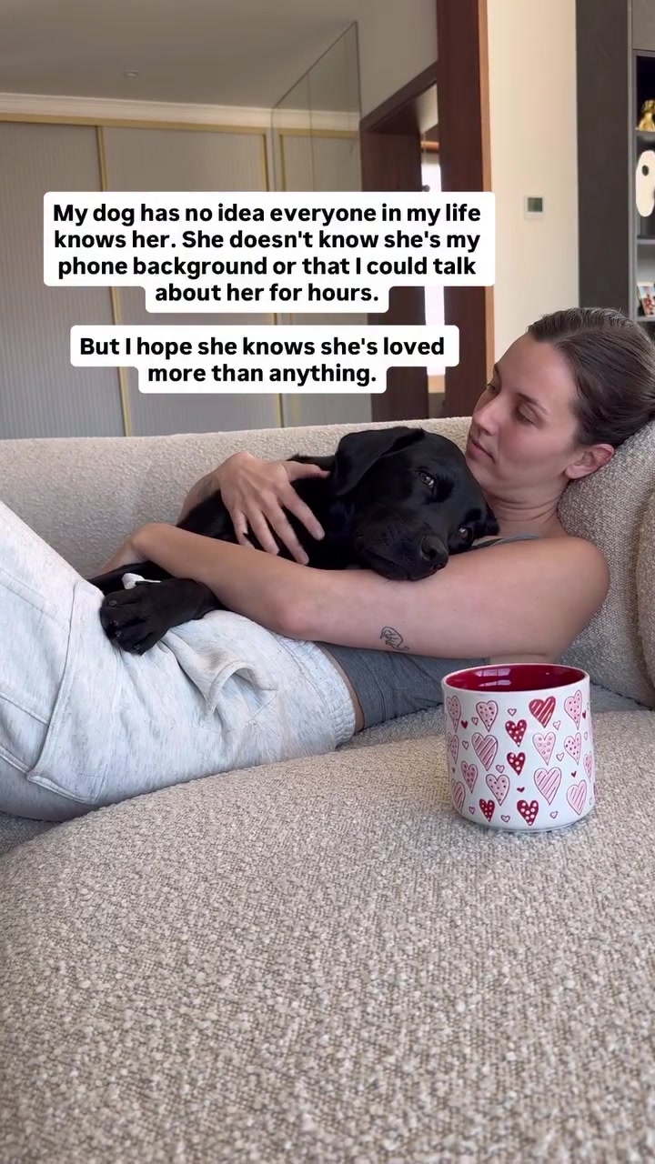 @lisatheblacklab