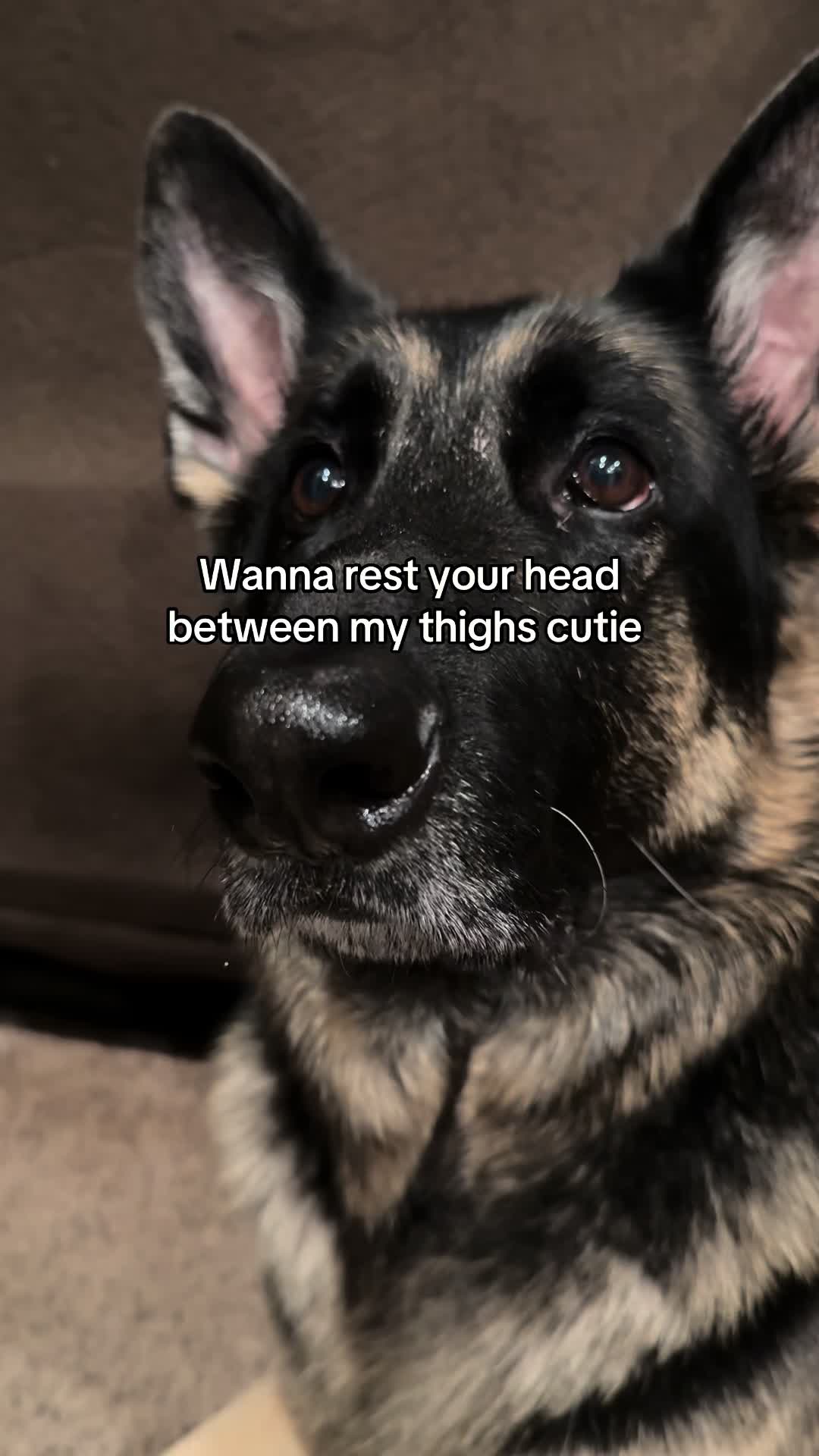@Bhris