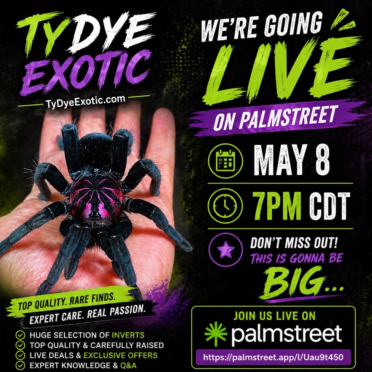 @tydyeexotics
