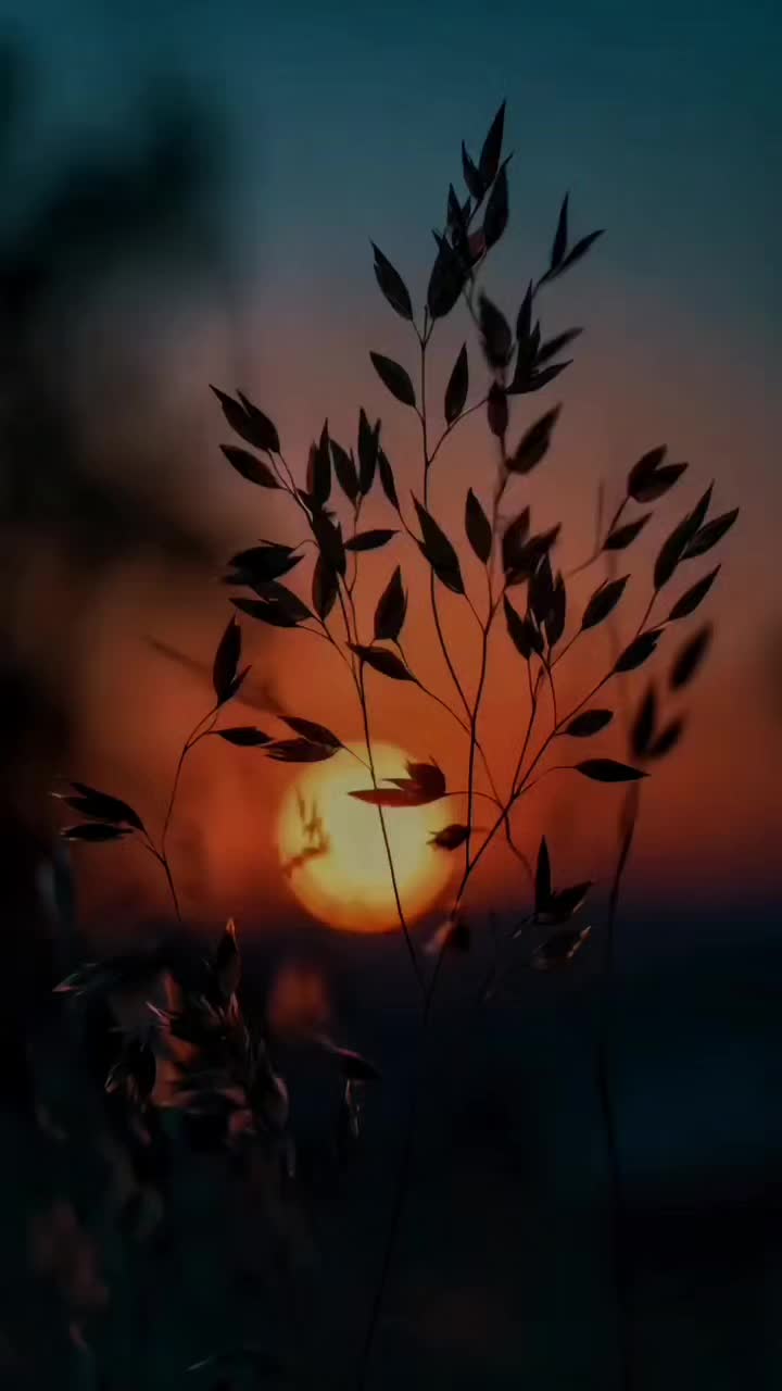@MJH☆LYRICS🎵🎧