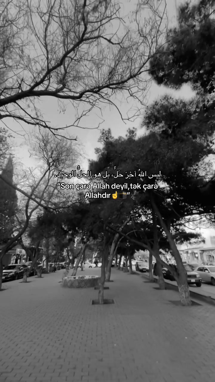 @Zahidzade_