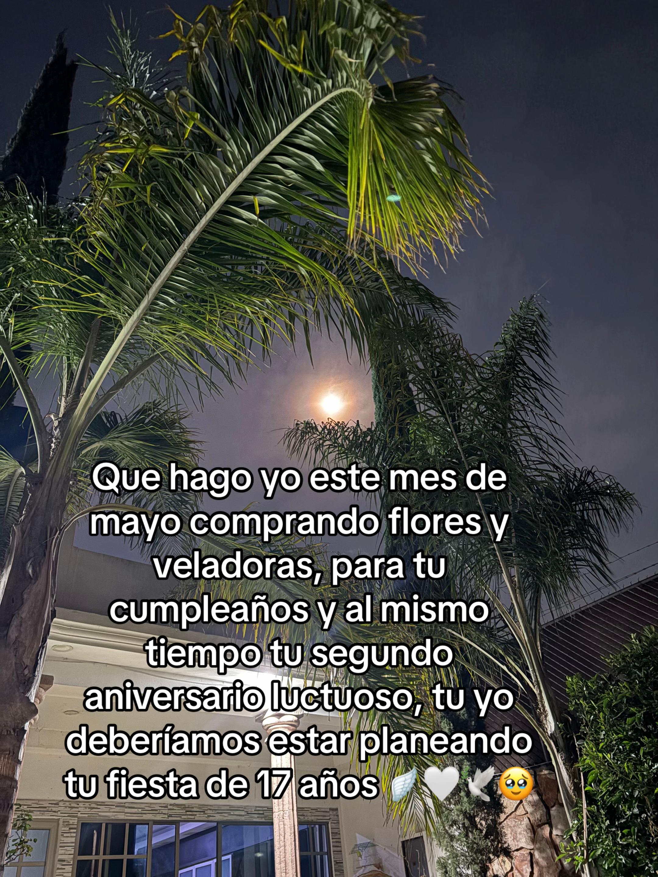 @Polito_777