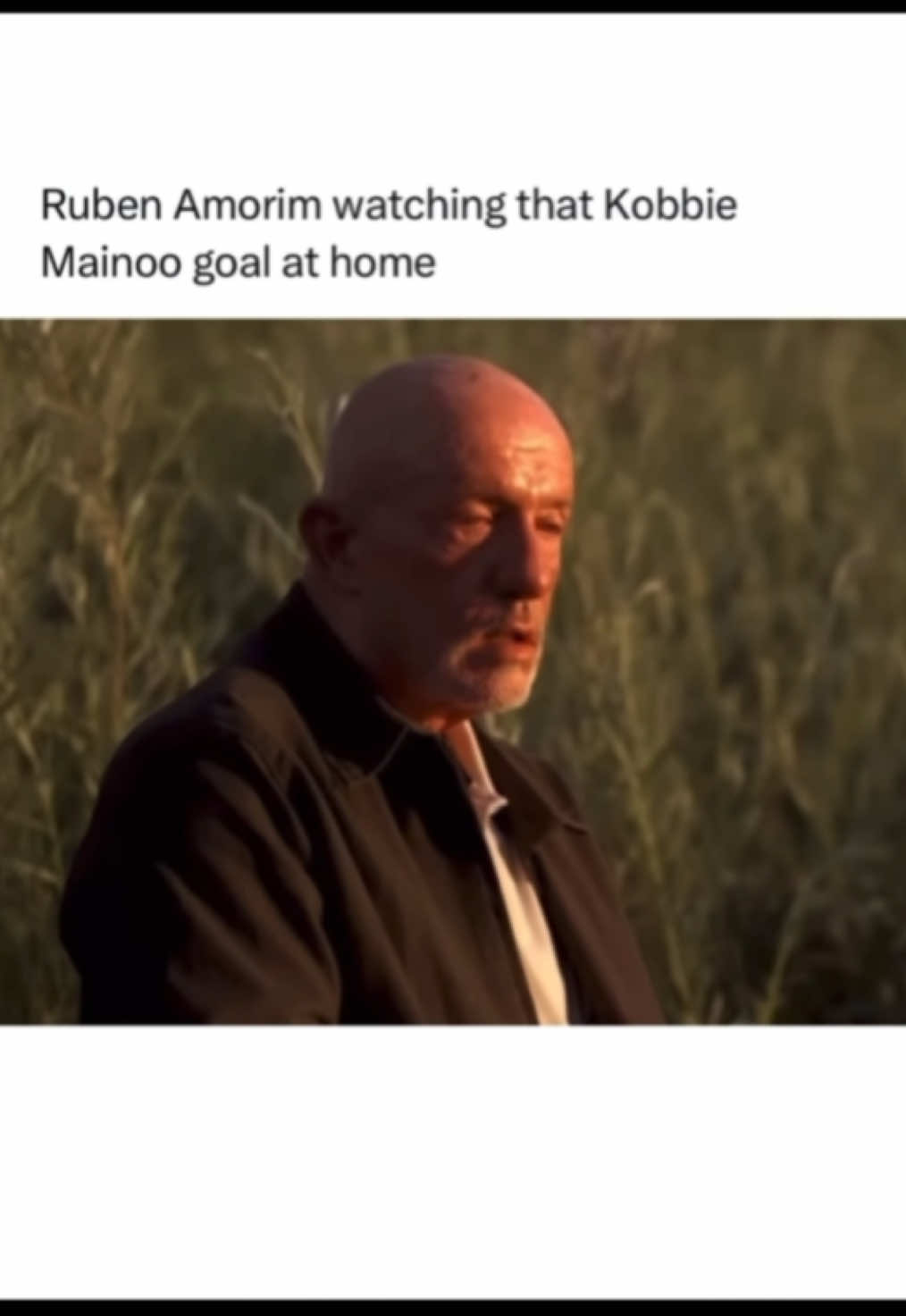@utdposts